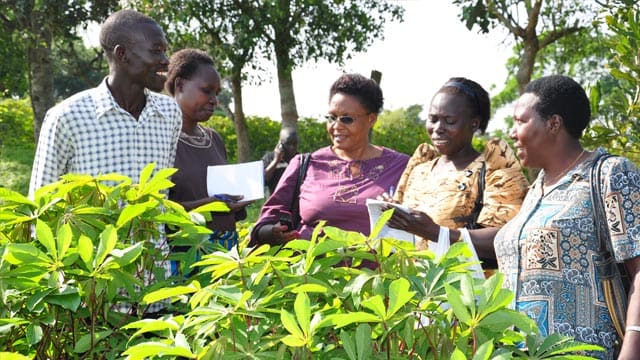 A group discussing plants beside a nursery
